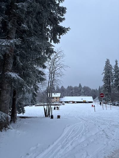 This image depicts a snow-covered winter scene in Le Hohwald, France, under an overcast sky. The foreground on the left is dominated by large, snow-laden evergreen trees. To their right, several bare deciduous saplings are also coated in frost. The ground throughout the scene is covered in deep snow, displaying multiple ski tracks and footprints leading into the distance.
In the midground, towards the left, a two-story light yellow building with a brown roof and illuminated windows is partially visible through the trees. Adjacent to it, a low stone wall or fence is present, and two baby strollers or prams are parked empty in the snow. To the right of this, a longer, lower building with a dark roof is situated, also heavily covered in snow. Several vehicles, including vans and cars, are parked in the snow-covered area in front of and to the right of this building.
A snow-covered path or road extends from the right side of the frame towards the buildings. On the right side of this path, a prominent red circular "no entry" sign on a pole is visible. A solitary figure, dressed in dark clothing, is walking away from the viewer on the path near the sign. More snow-covered evergreen trees form a dense forest line in the background, behind the buildings. The overall environment is one of extensive snowfall and winter conditions.