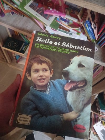 A person holds a copy of "Belle et Sébastien" by Cécile Aubry. The book cover features a young boy in a blue sweater, his arm around a large, white dog. The text on the cover includes the title, author's name, and the subtitle "LE REFUGE DU GRAND BAOU, LE DOCUMENT SECRET." The "Jeunesse Hachette" logo appears in the lower right corner. Numerous books are visible in the background, some on a shelf.