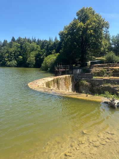 The image depicts a reservoir with a stone dam and a small waterfall on a clear, sunny day. The water is a murky green color, with sandy, rocky shallows visible in the foreground. The dam itself is constructed of stone and appears aged, with vegetation growing on its surface. A metal walkway and railing are visible at the top of the dam, suggesting it is a functional structure. Surrounding the reservoir is a dense forest of green trees. In the background, a large, leafy deciduous tree stands prominently. The sky is a vibrant, cloudless blue. The scene is set in Coteaux du Lizon, France.