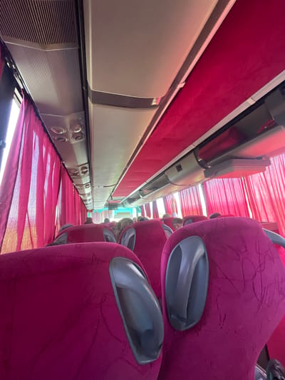 The image shows the interior of a bus or train, with a low-angle perspective looking down the aisle. The seats are upholstered in a vibrant magenta fabric with a subtle textured pattern. Each seat has a dark gray armrest. The aisle is covered in a matching magenta fabric, appearing to be curtains or a draped covering, which creates a dynamic, rippling effect. Along the side of the bus, there are rows of beige panels, likely overhead compartments or luggage racks, with ventilation grilles and control buttons visible on the lower sections. The lighting suggests it is daytime, with natural light filtering in from the windows, creating bright highlights and shadows. The scene is empty of people in the foreground, but figures are visible further down the aisle, suggesting the bus is in use or preparing for passengers. The overall impression is one of comfortable, if somewhat dated, public transportation, with a strong emphasis on the rich magenta color. The location context of Buhovtsi, Bulgaria, is external information and not visually derivable from the image itself.