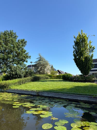 The image shows a serene waterscape with a pond filled with lily pads and yellow flowers. A well-maintained lawn runs alongside the pond, bordered by lush green bushes and trees. In the background, modern houses with dark roofs are visible, hinting at a residential area. The clear blue sky suggests a sunny day, likely in the late morning or early afternoon, given the bright sunlight casting shadows on the lawn. The overall scene conveys a sense of tranquility and natural beauty, suggesting a peaceful afternoon in a suburban setting in Leerdam, Netherlands. There is no visible text in the image.
