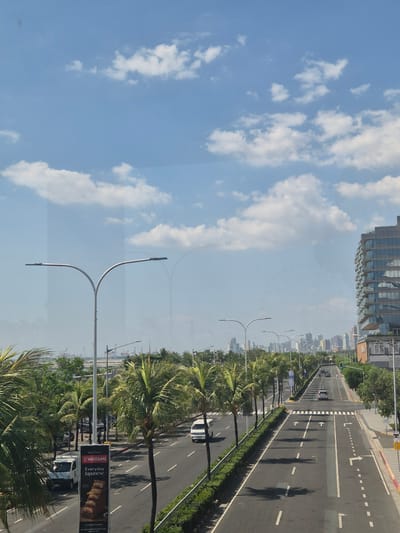 The image depicts an aerial view of a street in Pasay, Philippines, characterized by a straight road with multiple lanes, lined with palm trees and greenery on both sides. The sky is partly cloudy. There are streetlights along the road. Cars and other vehicles are visible on the road. In the background, high-rise buildings are seen, suggesting a busy urban environment. An advertisement sign for "Watami Everyday Japanese" is visible in the foreground. The road has lane markings and direction arrows.