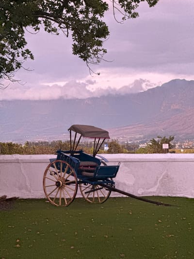 The image depicts a serene mountainous landscape under an overcast sky, likely in Drakenstein Nu, South Africa. In the foreground, on the left side, a large tree with dark green leaves and some bare branches partially frames the scene. On the right, a patch of vibrant green grass is visible, bordering a low, light-colored wall or barrier.

A blue and beige horse-drawn carriage or buggy with large, distinctive wooden spoked wheels (light-colored with reddish-brown accents on the rims) is positioned on the grass, serving as a decorative element. Its shafts point towards the right side of the frame.

Beyond the wall and the carriage, a vast valley unfolds, dotted with faint lights or structures of a settlement in the distance. Overlooking this valley, a small white sign with dark text reading "H1LS" is mounted on a pole near the wall. The background is dominated by majestic, expansive mountains with a rugged texture, appearing in shades of purple and brown, suggesting distance and atmospheric haze. The sky above is largely overcast, displaying soft grey and lavender tones with lighter cloud formations. The overall lighting suggests either a cloudy day or soft light during early morning or late afternoon. No specific activity or people are visible; the scene focuses on the landscape and the static carriage.