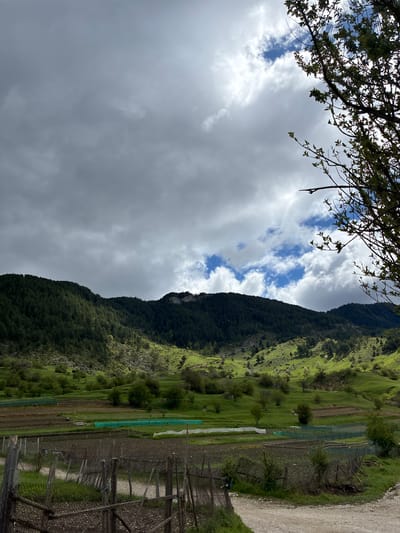 The image depicts a mountainous landscape under a cloudy sky, potentially located in or near Giovren, Bulgaria, given the prompt. A tree branch with sparse leaves is visible in the upper left corner. A dark, densely forested mountain ascends vertically in the center of the frame. Its slopes are partially covered in bright green vegetation. To the right of the mountain is a valley floor containing cultivated fields, some covered with white or green netting, and a rough gravel road. A weathered fence runs along the right edge of the image. The sky is predominantly overcast with heavy grey clouds, but patches of blue sky are visible near the mountaintop. No people or animals are visible in the image.