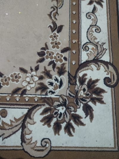 This image depicts a section of a patterned carpet, viewed from an overhead perspective. The carpet's primary field is beige, adorned with a repeating floral and scrollwork design executed in cream and various shades of brown. Stylized flowers with defined petals and dark brown centers are interconnected by brown stems and leaves. Intricate scrollwork borders, incorporating both cream and brown tones, delineate segments of the pattern and form decorative elements. A prominent, solid brown border frames the visible edges of the carpet, with an additional vertical decorative strip containing circular brown elements visible along one edge. The carpet exhibits minor surface wear and scattered dark particulates on lighter areas. No individuals, other objects, actions, or interactions are present within the frame. The scene is located in the city of Chimay, Belgium.