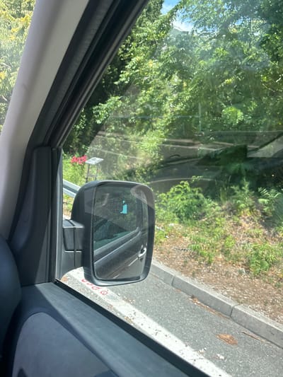 The image, taken from inside a vehicle looking out the passenger side window, shows a side-view mirror reflecting greenery and a portion of the vehicle's interior. Outside the window, lush green foliage from trees and bushes lines a paved roadside with a concrete curb. In the distance, a small cluster of pink flowers is visible near a solar-powered street light. The road appears to be in a rural or suburban area, possibly near Kanjoši, Montenegro, given the abundance of vegetation and the presence of a street light. The sunlight suggests it is daytime.