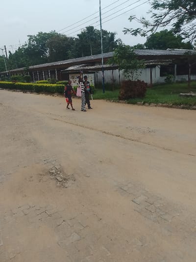 This image captures a street scene in Choba, Nigeria. Three individuals are observed walking from left to right on an unpaved dirt road. The road surface exhibits patches of exposed paving stones and multiple depressions consistent with potholes. To the right, a grassy verge and a manicured green hedge line a long, single-story building. This structure features a corrugated roof, light-colored walls, and a series of support columns forming an exterior walkway. Dense green trees and foliage are visible beyond the building and further to the left. Utility poles and overhead power lines are present against an overcast sky. The leftmost individual wears dark clothing and carries a red bag in their left hand. The central individual wears a black and white striped full-body garment, carries a patterned light-colored bag in their right hand, and has their left hand raised. The rightmost individual, positioned slightly behind the central person, wears dark clothing and carries a dark object over their left shoulder.