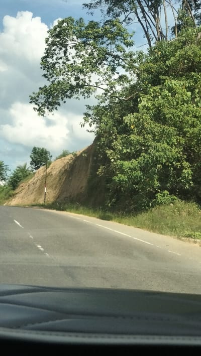 A slightly overcast sky with puffy white clouds is visible above a steep, sandy embankment bordering a paved road. Lush green trees and foliage densely cover the upper portion of the embankment and extend into the background, with some branches reaching towards the sky. A single, thin utility pole with red and white markings stands near the center of the embankment. The road, marked with white lines, curves gently to the right, with the foreground showing the interior of a vehicle. The scene appears to be a natural, somewhat undeveloped area, possibly on the outskirts of a town or along a highway.