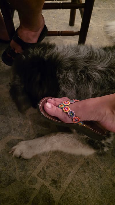 This image captures a close-up view of a person's feet and a dog's fur, set against a textured stone floor. A pair of black sandals is visible on one foot, while the other foot is adorned with a brown sandal featuring colorful circular beaded embellishments. The dog's long, gray and black fur occupies a significant portion of the frame, suggesting it is lying down. The background includes the legs of a wooden chair and hints of other feet also wearing sandals. The scene appears to be indoors, potentially a home or a casual dining area. There is no visual information in the image that would allow for the determination of its location in the city of Viterbo, Italy.