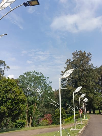 A pathway lined with decorative streetlights shaped like leaves under a blue sky dotted with clouds. Lush green trees and vegetation flank the walkway, leading towards the right side of the frame. A "no parking" sign is visible among the lights. A modern streetlight with a rectangular head stands tall on the left, completing the park-like scene.