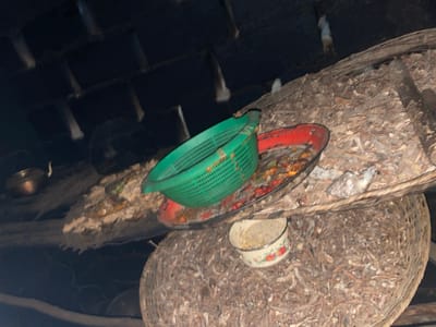 The image shows a dimly lit, cluttered interior space. In the foreground, a large, woven basket is filled with what appears to be dried plant material or animal feed. Resting on top of this is a small, decorative bowl containing a light-colored, granular substance, possibly grains or seeds. Behind this, a red-rimmed tray holds a colorful mixture of food items, including what appear to be peppers and other vegetables. A green plastic colander is placed on top of the red tray, with more food visible inside. To the left of the trays, a small, dark metal kettle or pot is visible. In the background, the ceiling appears to be constructed of dark wooden beams and planks. A small, white bird is perched on the edge of the woven basket in the mid-ground. The overall impression is one of a storage or preparation area, possibly in a rural or traditional dwelling. The scene is likely located within the city of Junyura, Nigeria, given the provided context.