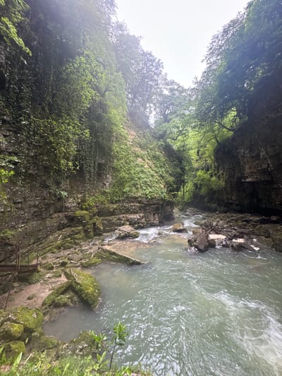 The image captures a river flowing through a narrow gorge in Tsabal, Abkhazia. The rocky walls of the gorge are covered in lush green vegetation and moss. The water is turbid, with visible currents and small rapids. On the right side of the image, a partial wooden railing is visible near the bottom corner, suggesting a pathway. The view looks upward, with treetops silhouetted against a bright sky.