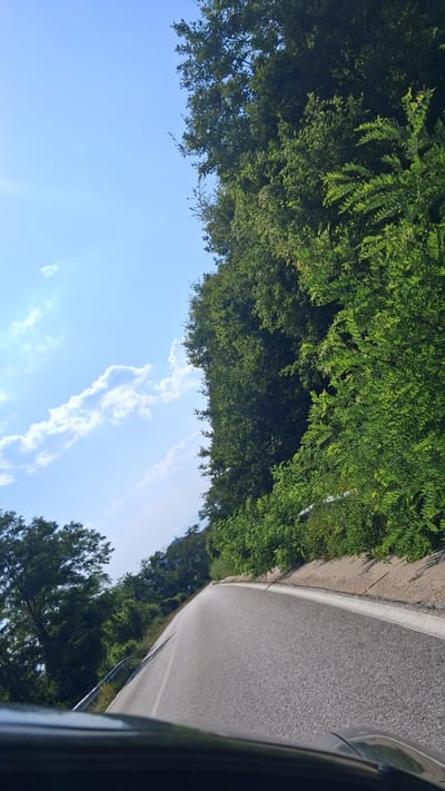 This image depicts a winding asphalt road through a lush, green forest. The road has a white dividing line and a concrete barrier on the left side, suggesting it's a mountain road. The forest is dense with trees and foliage, with sunlight filtering through the leaves, creating a dappled effect. The sky is a clear blue with a few wispy clouds. In the foreground, the hood of a dark vehicle is visible, indicating the image was taken from inside a car. The overall impression is a scenic drive through a natural landscape. There are no people or animals visible in the image. The location is specified as Pirin, Bulgaria.