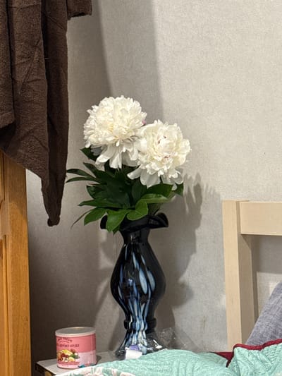 The image depicts an indoor still life with a vase of white peonies on a bedside table. To the left, a brown, fuzzy towel or garment is draped over a wooden surface, possibly a headboard. In the center, a tall, dark vase with blue and white swirls holds a bouquet of lush white peonies with green leaves. To the right, a portion of a light-colored wooden chair is visible. On the table below the vase, a small, pink tin with a lid contains what appears to be a mix of nuts and dried fruit, with some text in Russian. The background is a textured, light-colored wall. The overall scene suggests a domestic setting, likely a bedroom, in Valday, Russia.
