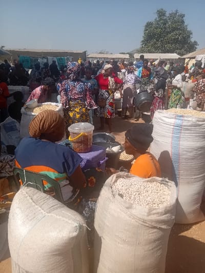 An overhead photograph captures a bustling open-air market in Gurku Gwari, Nigeria, under a clear, bright sky. Numerous individuals, primarily women, are visible, many dressed in vibrantly patterned traditional garments and headwraps.
In the immediate foreground, two women are seated. The woman on the left, viewed from behind, wears a brown headwrap and a blue and orange top, occupying a green plastic chair. To her right, another woman, seen in profile, wears an orange top and a dark beanie, attending to items between them. Surrounding these individuals are large white woven sacks, some filled with light brown grains (possibly soybeans), and others with white grains, likely beans or groundnuts. A purple container, a clear plastic container holding reddish items, and a metal bowl are positioned between the seated women.
The midground and background are densely populated with market-goers and vendors. People are standing, walking, and engaged in various activities, suggesting active commerce. Some individuals are seen carrying items like a large black plastic basin. The market features rudimentary stalls or temporary structures with light-colored coverings. The ground is dry and dusty earth. In the background, sparse vegetation, including a prominent tree on the right, and distant structures are visible under the intense sunlight.