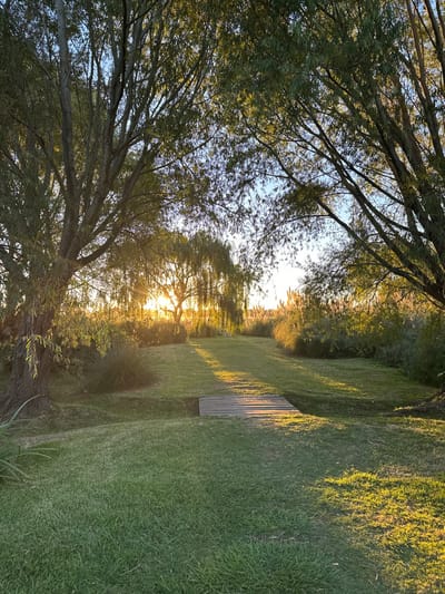 A sunlit scene features a lush green lawn bisected by a wooden walkway. Trees with abundant foliage frame the view, their branches reaching towards a bright sky. The sun's rays filter through the trees, casting long shadows across the grass. The light gives the scene a golden hue, creating a tranquil and inviting atmosphere.
