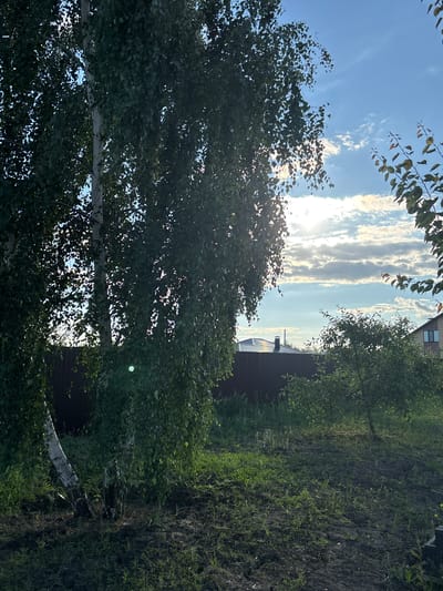 The image depicts an outdoor scene in Novaya Usman, Russia, on a bright, partly cloudy day. In the foreground, a large birch tree with its distinctive white bark and dense green foliage dominates the left side of the frame. Sunlight filters through the leaves, creating a dappled effect. The ground is covered in grass and patches of dark soil.
In the middle ground, a dark brown wooden fence runs horizontally across the image. Beyond the fence, hints of residential buildings are visible, including a roof with a chimney. A smaller tree with green leaves stands to the right of the fence.
The background is a bright blue sky with scattered white clouds. The sun is partially obscured by clouds, casting a bright glare in the upper right portion of the sky. The overall impression is of a suburban or rural setting in the late afternoon or early evening, with lush vegetation and clear skies. There are no people or animals visible in the image.