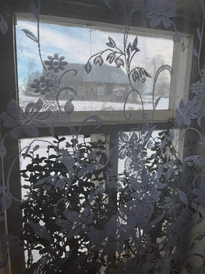The image displays an interior perspective looking outward through a white, translucent lace curtain adorned with a dense floral and vine pattern. The curtain fully covers a window, partially obscured by a white-painted wooden frame. On the interior side of the window, multiple dark-leaved plants are silhouetted against the bright outdoor light, positioned on a visible windowsill. The external environment, located in the city of Романята, Russia, presents a snow-covered winter landscape under a light blue sky. Visible elements include bare trees or shrubs and a distant residential structure with a dark roof and lighter walls, also partially covered in snow. The scene is illuminated by natural daylight, suggesting daytime.