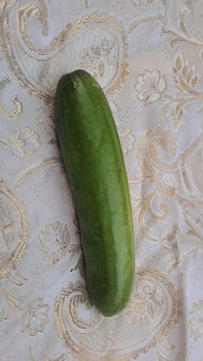 A single, long, green cucumber lies horizontally on a white tablecloth with a gold pattern. The tablecloth has an ornate, damask-like design with swirling floral motifs. The cucumber is smooth-skinned and appears fresh, with a slight sheen. The lighting suggests it is daytime, and the setting appears to be indoors or in a shaded outdoor area, as there are no strong shadows. No people are visible in the image. The overall scene is simple and focused on the cucumber and its textured background. There is no visible text.