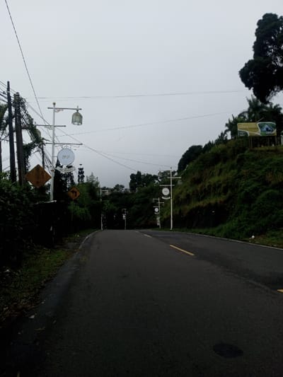 The image displays a two-lane asphalt road traversing a verdant, hilly landscape in the city of Deothang, Bhutan, under an overcast sky. The road curves gently into the distance and features a dashed yellow centerline.
On the left side of the road, a dirt shoulder is bordered by dense green vegetation, including bushes and tall trees. Several dark utility poles, heavily strung with black electrical wires, are visible within this vegetation. Further along, multiple decorative white lamp posts are installed, each featuring a glass lantern and a circular sign below it. One such circular sign contains characters resembling Arabic script positioned above the visible text "AM BAARI" or similar phrasing. A brown diamond-shaped sign and a yellow chevron sign pointing right are also present on the left side, partially obscured by foliage. A small, dark, rectangular structure is situated close to the road's edge on the left.
On the right side, a steep hillside rises, densely covered with green trees and undergrowth. A large rectangular billboard, primarily green and yellow, is mounted on this hillside. The billboard features text that appears to read "WELCOME WILUJENG" and an image resembling a building or lodge. A series of decorative white lamp posts, identical to those on the left, also line this side of the road as it ascends the curve. The sky is uniformly light gray, indicative of an overcast condition. No individuals or vehicles are present in the scene.