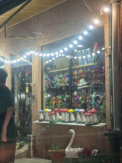 An evening street scene in Manavi, Georgia, depicts the exterior of a retail establishment. The building features a textured, light brown stucco facade, illuminated by a string of numerous white globe lights draped horizontally above the shop windows and entrance. A dark-haired individual, wearing a dark short-sleeved shirt, stands partially visible on the left, facing away from the camera.
The shop window, divided into multiple sections, showcases a dense display of merchandise. Upper sections reveal large, decorative drums, one red and one with a white and dark pattern, along with various textile items. Mid-level displays are filled with hundreds of small, colorful plush dolls or figurines and several hats. A lower ledge outside the window presents a collection of decorative mushroom sculptures in various colors including blue, yellow, pink, and red, with white stems.
To the left of the shop window, a dark, ornate double door with golden accents is partially visible, adjacent to a white L-shaped bracket attached to the wall. At ground level, a silver, cylindrical trash receptacle with an embossed pictogram stands near the door. Further right, a white ceramic swan sculpture with red accents is positioned on a low pedestal, flanked by multiple planters containing green foliage and flowering plants in shades of red, pink, and white. The ground surface is paved.