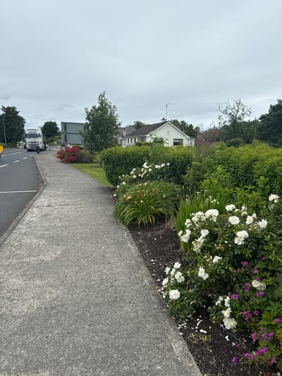 This is a street-level, eye-level, medium shot photograph taken on a cloudy day in Stradone, Ireland, likely along a residential road. In the foreground, a concrete sidewalk runs along the left side of the image. To the right of the sidewalk is a well-maintained garden bed with a variety of plants. Prominent among these are clusters of white roses in full bloom, interspersed with some smaller purple flowers and tall green plants with sword-like leaves. The garden bed is mulched with dark material.
Further back, a green hedge forms a boundary behind the flower beds. Beyond the hedge, a white house with a brown-tiled roof is visible. The house has visible windows and a chimney. Trees and more greenery are present around the house and in the background.
To the left of the sidewalk, a road is visible, marked with white lines. A white Volvo truck with the company name "MCCONNELL HAULAGE" printed on its side is driving away from the camera on the road. A yellow road sign is partially visible on the far left of the image. The sky is overcast and gray.