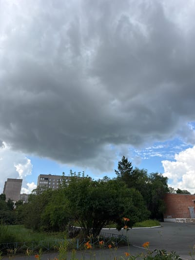 The image depicts an outdoor scene in Novotroitsk, Russia, under a dramatic, overcast sky filled with dark, heavy clouds. The sky takes up a significant portion of the frame, suggesting an approaching storm or recent rainfall. Below the clouds, patches of bright blue sky are visible, interspersed with white, fluffy clouds.
In the middle ground, a dense line of green trees and foliage separates the sky from the urban environment. Behind the trees, several buildings are visible. To the left, a tall, light-colored apartment building with a slightly angled facade dominates the skyline. To its right, a longer, grey apartment building with numerous windows is present. Further to the right, a single-story brick building with a weathered facade and a closed grey door is partially visible. A small, dark-colored tree stands tall amongst the other foliage, reaching towards the sky.
The foreground shows a paved area, possibly a road or parking lot, with faint white markings. A blue metal fence runs along the edge of the paved area, separating it from a strip of green grass and wild plants. Several orange tiger lilies are in bloom, scattered across the foreground and along the fence line, adding a touch of color to the otherwise muted scene. The overall impression is one of an ordinary urban landscape under a brewing sky. No people are visible in the image.
