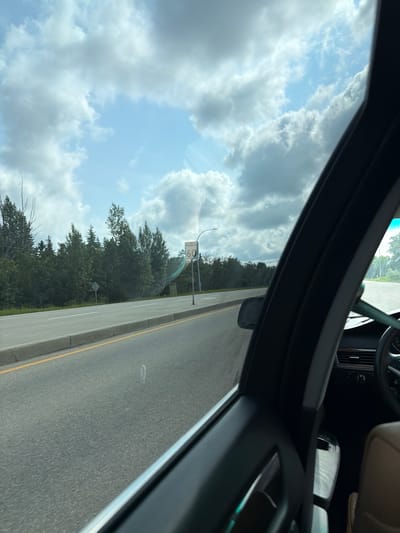 A first-person perspective shot from inside a vehicle shows a highway with trees and a cloudy sky. A speed limit sign indicates a maximum speed of 60. The road is paved with a yellow line and a concrete curb. The interior of the car is partially visible, including the steering wheel and dashboard. The scene appears to be captured on a clear, overcast day.