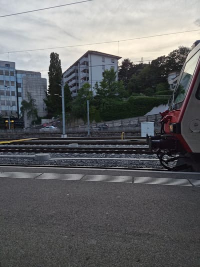 The image depicts a train station platform with a red and white train visible on the tracks. The platform is paved with dark asphalt and marked with white lines. Railway tracks are laid on a ballast of grey stones, with overhead electrical wires running above. In the background, there are several multi-story buildings, some with balconies, and lush green trees. The sky is overcast, suggesting a cloudy day. The scene is captured from a slightly elevated perspective, looking down at the tracks and platform. No people are visible in the frame. The overall impression is of a functional, urban train station environment, likely during daylight hours due to the ambient light. The presence of the train and platform indicates an active transportation hub. The architecture of the buildings and the general setting hint at a European location, consistent with the provided location context of Fribourg, Switzerland.