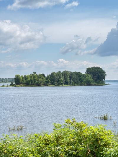 A wide shot captures a natural landscape featuring a calm body of water in the foreground, with lush green foliage along the bottom edge. In the middle ground, a densely wooded island with a variety of trees stands out against the water. The background reveals a distant treeline and a sky filled with white, fluffy clouds against a pale blue backdrop. The scene appears to be a serene view of a river or lake, with the island situated in the middle of the water.