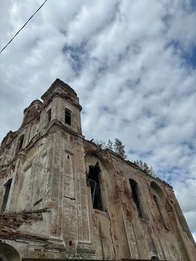 The photograph captures a low-angle view of a decaying, abandoned brick and plaster structure, likely a church or similar grand building, under a cloudy sky. The building exhibits significant disrepair; sections of the plaster facade are missing, revealing weathered red brick beneath. Large arched window openings are empty, some with broken glass shards still clinging to the frames. Overgrown vegetation, including small trees, sprouts from the roofline and crevices of the structure, further emphasizing its abandonment. A dark electrical wire stretches diagonally across the upper left portion of the frame, contrasting with the organic textures of the building and clouds. The overall impression is one of historical neglect and the slow reclamation of a man-made structure by nature. The location is identified as Княжыцкі сельскі Савет, Belarus.