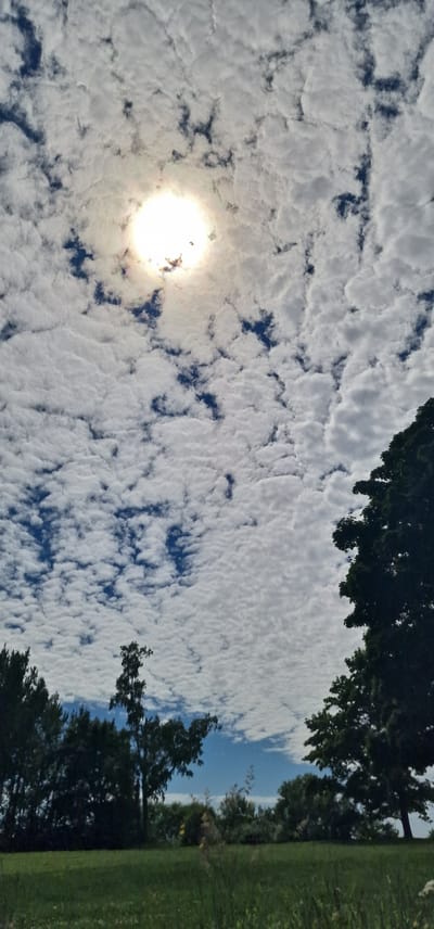 The image depicts a bright, cloudy sky with scattered patches of blue. The sun is prominently visible on the left side of the frame, casting a strong, bright light. The clouds appear to be puffy and textured, creating a dynamic pattern across the sky. Silhouetted against the sky on the right and top edges are the dark green canopies of trees. Below the trees, on the far right, a strip of lush green grass is visible, suggesting an outdoor, natural setting. The overall impression is one of a daytime scene, likely late morning or early afternoon given the brightness of the sun and the clear sky. The location is Vārzas, Latvia. There is no visible text in the image.