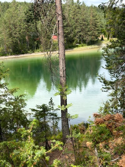 The image shows a view of a tranquil lake surrounded by a dense forest. In the foreground, there is a tree with dry branches and some green foliage. The lake's water is a vibrant green, with reflections of the trees visible on its surface. The shoreline is lined with sparse vegetation and sand. In the background, a red building is partially visible through the trees on the opposite side of the lake. The sky is overcast with some patches of blue. The scene is characteristic of a natural landscape in a rural or forested area. The location is identified as Heistadmoen, Norway.