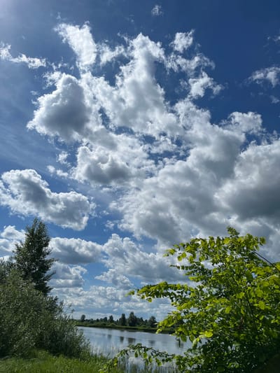 An outdoor, eye-level, vertical shot captures a serene landscape with a wide river in the foreground, reflecting the bright blue sky. The sky is adorned with a dramatic display of fluffy, white cumulus clouds, interspersed with streaks of wispy cirrus clouds. To the left of the frame, lush green trees and bushes create a dense foliage border, with a tall, slender tree standing out. On the right, a cluster of vibrant green leaves from a tree hangs into the frame, adding a touch of life and color. The opposite bank of the river is lined with a distant, verdant treeline, with a few scattered trees visible. The scene suggests a tranquil day in Rychino, Russia, likely during the warmer months.