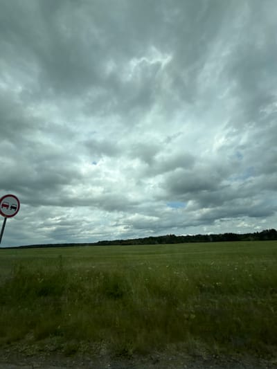 A road sign depicting two cars, one red and one black, indicating a no-passing zone, is situated on the left side of the frame, partially obscuring a vast, green, grassy field. The field stretches horizontally across the majority of the image, with a dark green line of trees forming a distant horizon. Above the field, a dramatic sky filled with heavy, grey clouds dominates the upper portion of the image, with a sliver of bright blue sky visible near the top center. The ground in the foreground appears to be a dirt or gravel road. The scene suggests a rural or roadside environment in Bun'kova, Russia.