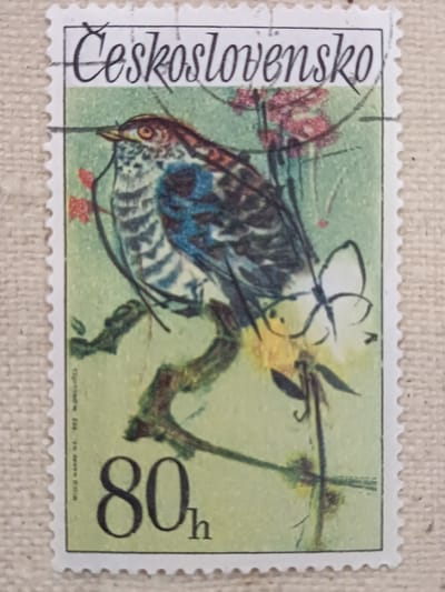 The image is a close-up of a postage stamp featuring a bird perched on a branch. The bird is depicted in detail, with intricate feather patterns and bright colors. Behind the bird, there are pink flowers and a pale green background, suggesting a natural setting. In the lower left corner of the stamp, there is vertical text which is illegible, and in the lower right corner, the number "80" is prominently displayed, followed by the letter "h". The stamp has perforated edges, typical of postage stamps. The image does not contain any elements that would suggest a location in the city of Onaldy, Turkmenistan.
