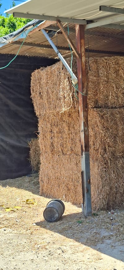 In an outdoor storage area in Unknown, Israel, a partially constructed or dilapidated shelter is visible, featuring a corrugated metal roof supported by rusting metal beams. The shelter houses several large bales of dried straw. The ground is covered with straw debris and gravel. In the foreground, an overturned dark-colored bucket with a decorative pattern on its base lies on the ground. Sunlight casts long shadows across the scene, indicating it is daytime. The environment suggests a rural or agricultural setting.