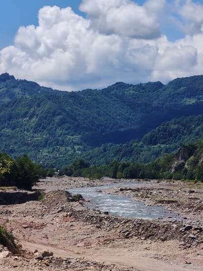 This is a vertical, eye-level, outdoor, natural landscape photograph. The image depicts a rocky riverbed in the foreground, leading to a wide, flowing river with visible ripples and currents. The riverbanks are covered in a dense accumulation of various-sized rocks and some patches of dirt. Beyond the river, lush green, tree-covered mountains rise steeply, with a light dusting of clouds in the bright blue sky above. The sun is shining, casting shadows on the mountains. There are no people visible in the image. The scene suggests a natural, possibly remote, location. Based on the context provided, this scene is located in Orbeli, Georgia.