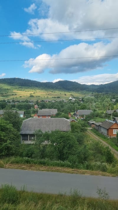 A vertical, eye-level, medium shot captures a rural village nestled amidst rolling, forested hills under a bright, partly cloudy sky. The foreground features a section of an asphalt road bordered by lush green grass and wildflowers. Beyond the road, the mid-ground is dominated by numerous houses with gray slate roofs, interspersed with dense green trees and shrubs. A dirt road winds through the village, connecting the houses. In the background, the landscape transitions to terraced fields that ascend towards the heavily forested, dark green slopes of the Carpathian Mountains. Three dark, horizontal power lines stretch across the top of the frame, partially obscuring the blue sky and white, fluffy clouds. The scene appears to be a tranquil, sun-drenched afternoon in the Ukrainian countryside.