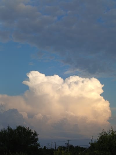 The image is a landscape photograph featuring a dramatic sky filled with large, fluffy clouds. The sky is split into two distinct halves by a vertical line. On the left, the sky is a deep blue with scattered, darker gray clouds. On the right, a massive, luminous white cloud dominates the scene, tinged with warm, golden-orange light, suggesting either sunrise or sunset. This larger cloud appears to be a cumulonimbus or cumulus congestus, with its upper portions catching the light.

The lower portion of the image shows a dark green treeline, with the tops of trees visible on the right side. Beyond the trees, a few utility poles with electrical wires can be seen silhouetted against the sky, indicating a rural or suburban setting. The overall impression is one of natural beauty and the grandeur of the sky. The time of day is likely dawn or dusk due to the warm lighting on the clouds. There is no visible text in the image.