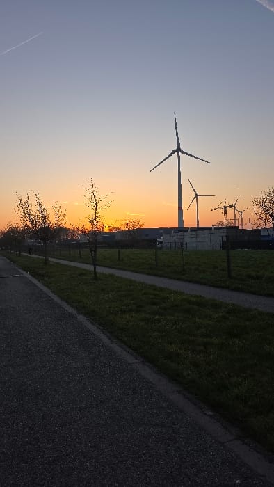 The image depicts an outdoor scene at sunrise or sunset in Olen, Belgium, characterized by a low sun casting an orange glow across the horizon. The sky transitions from light blue at the zenith to bright orange and yellow above the horizon. A white contrail is visible in the upper left quadrant of the sky.

In the background, several wind turbines are visible. A large, prominent wind turbine with a white tower and red bands near its base stands in the mid-right, its three blades silhouetted. To its right and further back, smaller wind turbines are discernible. Behind these structures, industrial buildings or warehouses with flat roofs are present, along with stacks of light-colored, rectangular building materials.

The midground features a long, straight asphalt road on the left, running parallel to a narrower, unpaved or gravel path on the right. A strip of green grass, sparsely dotted with bare-branched trees, separates the road from the path. A fence composed of dark posts is visible along the grassy area, parallel to the path. The foreground shows the dark asphalt road on the left, with a distinct curb separating it from the grassy verge.

No individuals or active movements are captured within the frame. The lighting suggests either early morning or late evening, with the sun low on the horizon.
