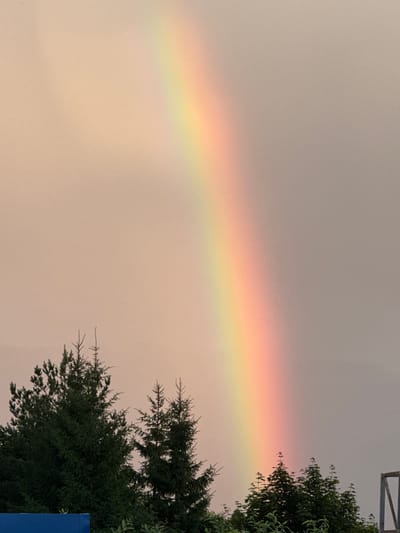 The image depicts a rainbow arching across a soft, overcast sky. The bottom of the frame is occupied by the dark green tops of several coniferous trees. The rainbow's arc is visible in the upper right and extends downwards and to the left. The sky has a diffused, light brown hue. A bright blue rectangular object is partially visible in the lower left corner of the image, suggesting it is a building or structure. The overall scene is naturalistic, with the rainbow being the prominent focal point against the backdrop of trees and sky. The location is Staraya, Russia, as indicated by the prompt. There are no people or animals visible in the image.