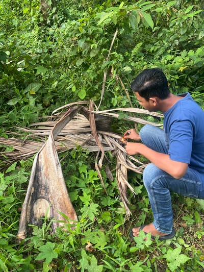 A person, wearing a blue t-shirt and jeans, kneels on the ground amidst lush green foliage. The person is holding a lit cigarette and appears to be igniting dry, palm-like leaves. The setting is outdoors, with dense vegetation and fallen leaves covering the ground, suggesting a natural or slightly unkempt area. The lighting indicates it is daytime, though the exact time is not discernible. The overall impression is one of a person engaged in an activity, possibly starting a fire or smoking, in a natural environment. There is no visible text in the image.