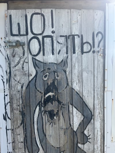 The image depicts a weathered wooden surface, likely a door or wall, adorned with black graffiti and a crude drawing of an animal. The graffiti, written in large, bold Cyrillic letters, reads "ШО! ОПЯТЬ!?" which translates to "WHAT! AGAIN!?". The drawing features a caricature of a wolf-like creature with an open mouth, wide eyes, and paws on its hips, appearing distressed or surprised. The wood is grey and textured, showing signs of age and exposure to the elements, with some peeling paint or whitewash. The scene appears to be outdoors, with a glimpse of a white metal structure to the right, possibly part of a building or fence. The overall impression is one of urban decay and artistic expression. This image was captured in Preobragenskaya, Russia.