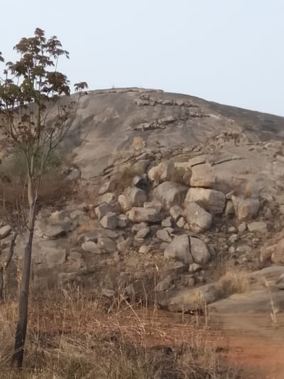 The image displays a rocky, arid landscape located in Kerang, Nigeria, under a bright, overcast sky. A large, smooth-faced rock formation, grey to light brown in coloration, constitutes the primary feature, sloping upwards from the midground towards the background. The lower and middle sections of this formation are densely covered with numerous scattered boulders and smaller rocks of varied sizes and irregular shapes, some exhibiting visible cracks. A distinctive, winding arrangement of flattened rocks forms a segmented path or natural geological feature ascending the upper slope of the main rock mass, leading towards a relatively flat summit. In the foreground on the left, a slender tree with a light-colored trunk and sparse, dark green foliage stands vertically. The ground in the foreground consists of dry, straw-colored grasses and patches of reddish-brown earth, with a notable reddish-orange section of exposed soil visible on the far right. No individuals, animals, or identifiable man-made structures are present in the scene, beyond the natural or constructed rock path.
