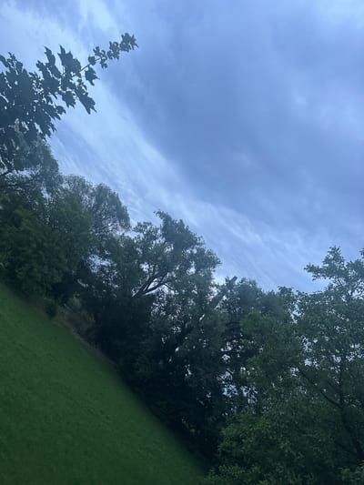 The image depicts a tilted view of a grassy slope adjacent to a dense line of trees. The sky above is overcast with a mix of dark and lighter clouds, suggesting an impending storm or recent rain. In the foreground, a portion of the green grass is visible, slanting upwards to the left. The middle ground is dominated by the dark foliage of various trees. The trees are tall and leafy, with some branches extending into the sky. The upper portion of the image is filled with the cloudy sky. There are no people or animals visible in the scene. The overall impression is one of a natural, outdoor environment. Without further information or context, it is not possible to determine the specific location within Ludwigsburg, Germany.