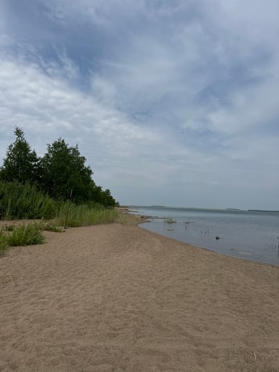 The image depicts a serene natural landscape on a cloudy day, likely a beach or shoreline. In the foreground, a sandy beach stretches from the lower left corner, curving gently towards the right. The sand appears textured with subtle ripples. To the left, a dense growth of green vegetation, including bushes and trees, marks the transition from the beach to what seems like a wooded area. A thin, vertical wooden post is visible amidst the greenery.

The middle ground is occupied by a body of water, likely a lake or a calm sea, with a muted blue-gray hue. The water's surface is mostly still, with a few scattered small rocks or debris visible near the shore. In the distance, a hazy horizon line separates the water from the sky, suggesting a vast expanse. A thin strip of land, possibly a distant shore or island, is faintly visible along the horizon.

The sky is overcast with a mixture of white and gray clouds, with patches of lighter blue peeking through. Two small, dark, bird-like shapes are discernible in the sky, appearing as distant specks. The overall impression is one of quiet solitude in a natural environment, with no human presence indicated. The scene is consistent with a location like the shores of Lake Aiyrtau in Kazakhstan, known for its natural beauty and expansive bodies of water.