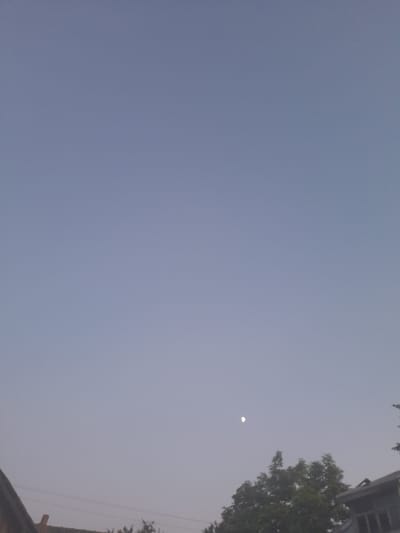 The image shows a dusky sky with a faint crescent moon visible in the upper right quadrant. To the right, the silhouette of a tree with green foliage is prominent, and a portion of a building, possibly a house with a brick chimney, is visible at the bottom edge. The sky is a pale blue or gray, suggesting either early morning or late evening. There are no people or specific activities depicted. The overall scene evokes a sense of calm and twilight. The location context is Kliushnykivka, Ukraine, which is a rural or semi-rural area.