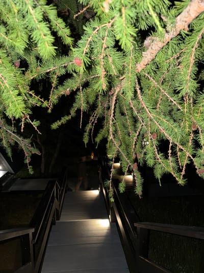 The image shows a set of outdoor stairs at night, illuminated by lights. Pine branches with cones hang over the stairs. In the background, a person is dimly visible walking up the stairs. The environment appears to be a wooded area, possibly near a building, indicated by the structure on the left. The location is specified as Sarma, Russia. The scene is captured with a shallow depth of field, with the foreground pine branches being sharp and in focus, while the background stairs and person are slightly blurred.