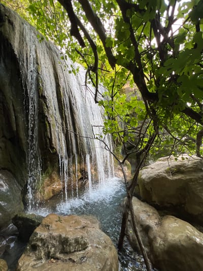 The image depicts a small waterfall cascading down a rock face, surrounded by foliage and rocks. The water flows from the top of the frame and empties to the bottom. A tree branch with green leaves extends from the top left corner, partially obscuring the view of the top of the waterfall. There are various rocks in the surrounding area. The location is not specified as Krapina, Montenegro, and cannot be confirmed from visual data.